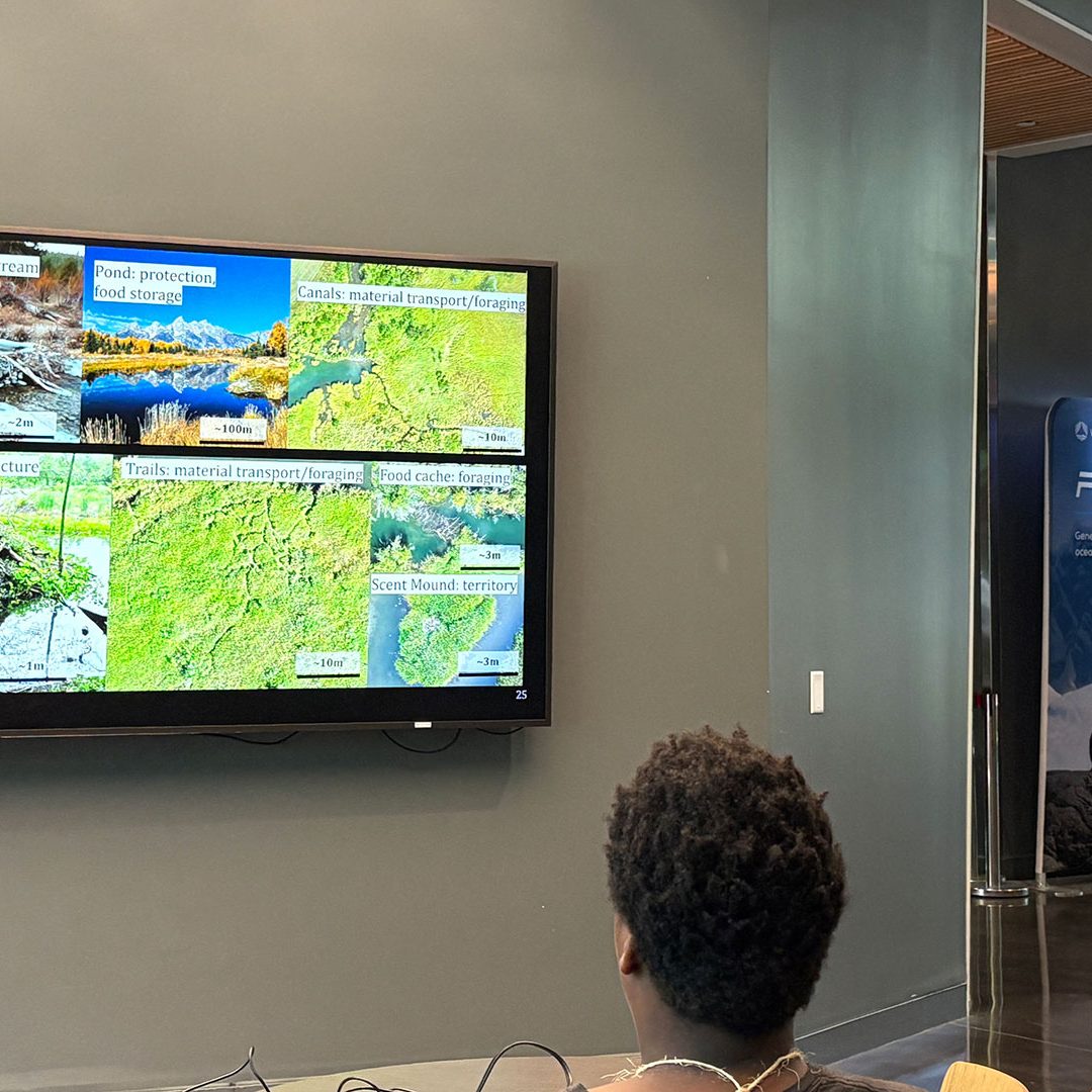 jordon-presentation16x9